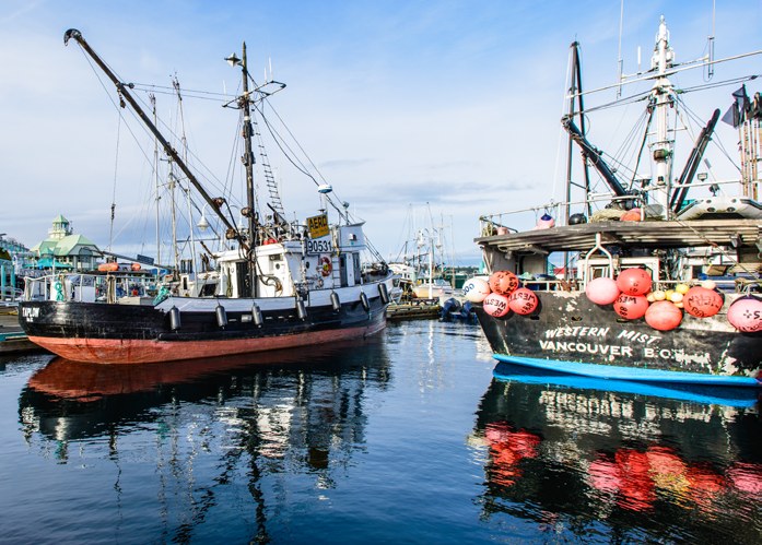 Colourful fishing boats reflected in Nanaimo harbour