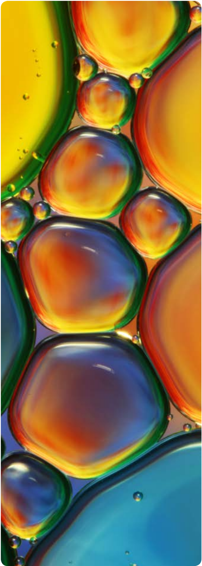 Abstract macro photograph of colourful oil and water bubbles