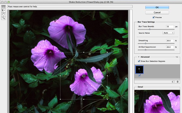 Photoshop CC's Camera Shake Reduction filter recovering a blurred flower photo